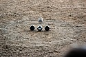 CEF_Ankara (35).jpg